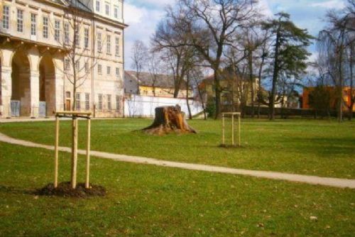 obrázek:Kosmonosy dokončují obnovu zámeckého parku: přibyla grotta, vodopád i objevené pivovarské sklepy