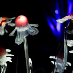 Křišťálová zahrada v Troji znovu ožívá: skleněné instalace rozšiřují zimní expozici