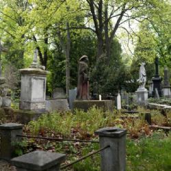 Města řeší krizi neplacených hrobů: Správy hřbitovů varují před odstraňováním náhrobků