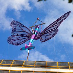 Motýli zůstanou na Máji