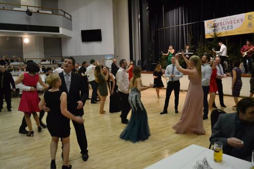 obrázek:Tradiční Myslivecký ples opět na Žižkově