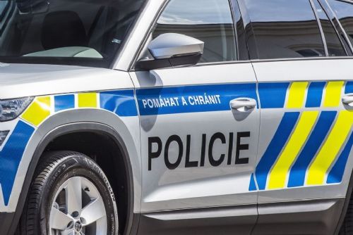 obrázek:Po 15 letech policie zadržela muže podezřelého z vraždy v pražském Karlíně. Rozhodla shoda DNA
