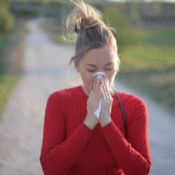 Pylová sezóna přichází na Budějovicko