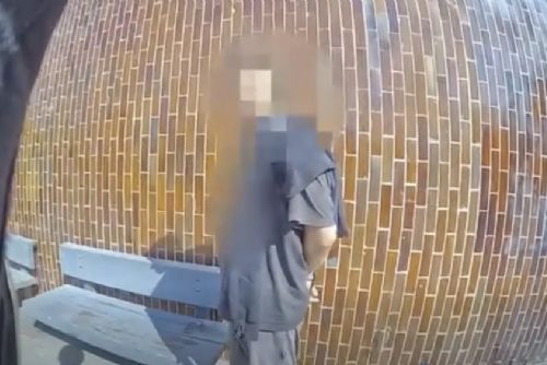 obrázek:U metra Veleslavín zasahovali strážníci proti opilému muži, poškodil sanitku a skončil v poutech
