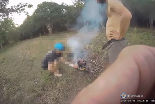 obrázek:V Praze lidé porušují zákaz ohňů. Strážníci řeší grilování i nedopalky v parcích