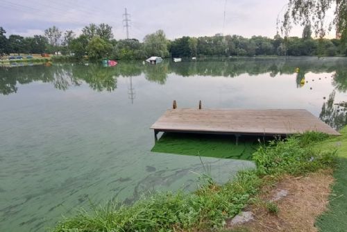 obrázek:V Praze platí zákaz koupání na Džbánu. Orientační test s PET lahví odhalí sinice během 20 minut