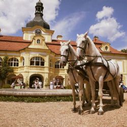 Haydn a Beethoven zazní na zámku Nebílovy. Zahraje klavírista Tomasz Ritter