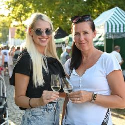 Kam o víkendu? Plzeňský kraj láká na víno, hrdiny, rytíře, veterány i festivaly