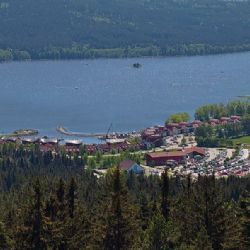 Lipno řeší obavy o kvalitu vody. Rezervace klesají, hygienici vodu hodnotí jako vhodnou