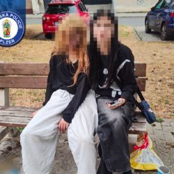 Mladistvé dívky vypily na dětském hřišti půl litru vodky. Nadýchaly přes 1,5 promile