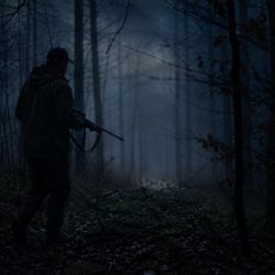 Myslivec na Tachovsku mířil na lišku, postřelil hledače kovů. Teď je obviněný
