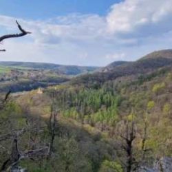 Napětí na Křivoklátsku: Obce odmítají 100milionovou nabídku na park
