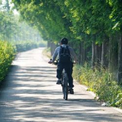 Nová cyklostezka propojí Kohoutovice s centrem Brna, měřit má zhruba 2,2 kilometru