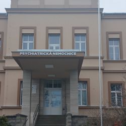 Odsouzený vrah dostal další trest za útok v Dobřanech. V léčebně napadl pacienta kvůli penězům za drogy