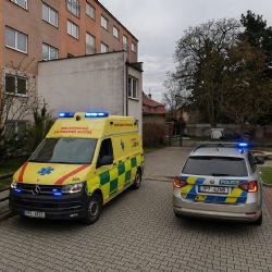 Soud poslal do vazby muže, který podle policie polil expartnerku před školkou v Plzni kyselinou