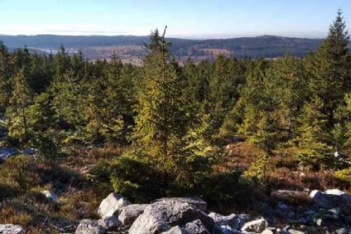 obrázek:Vrch Kočka v Brdech nově chrání unikátní kambrické fosilie