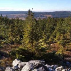 Vrch Kočka v Brdech nově chrání unikátní kambrické fosilie