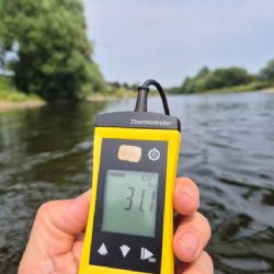 Berounka v Radotíně dosáhla rekordní teploty vody 31,8 °C, hydrologové hodnoty ověřili v terénu