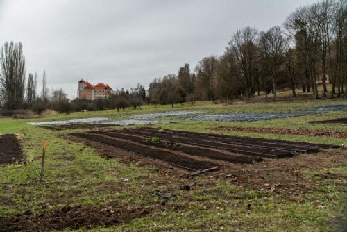 obrázek:Hlasování o ekologických projektech: vítěz E.ON Energy Globe získá 500 000 Kč
