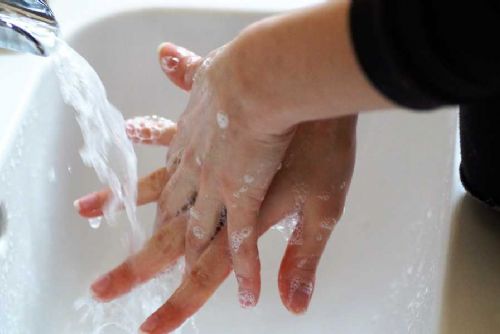 obrázek:Praha dlouhodobě bojuje s šířením žloutenky: epidemie typu A zatím neustupuje