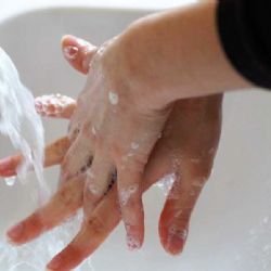 Praha dlouhodobě bojuje s šířením žloutenky: epidemie typu A zatím neustupuje