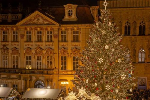 obrázek:Praha hledá vánoční strom pro Staroměstské náměstí. Tipy mohou lidé posílat do 15. září