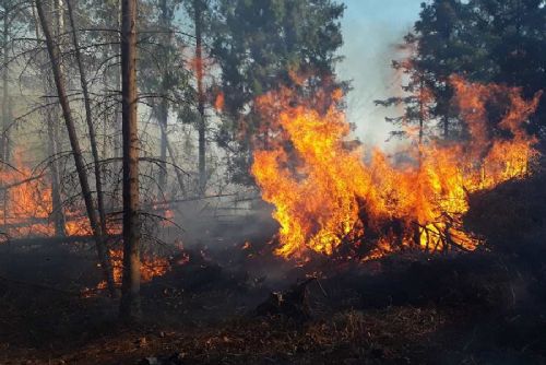 obrázek:Pražští hasiči řešili v létě 84 požárů porostů. V Česku jich bylo přes 1 600