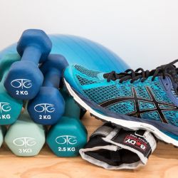 ČUS a Sokolové vyzvali Národní sportovní agenturu k vyšší podpoře údržby a provozu sportovišť