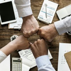 Daňová Kobra zachránila státu už 13 miliard