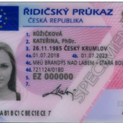 Elektronické podání žádosti o řidičský průkaz oceněno jako úspěšný projekt eGovernmentu