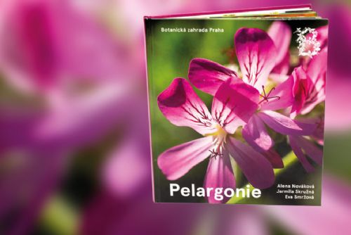 Foto: Knihu pražské botanické zahrady Pelargonie pokřtili Spejbl s Hurvínkem