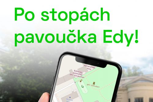 Foto: Po stopách pavoučka Edy