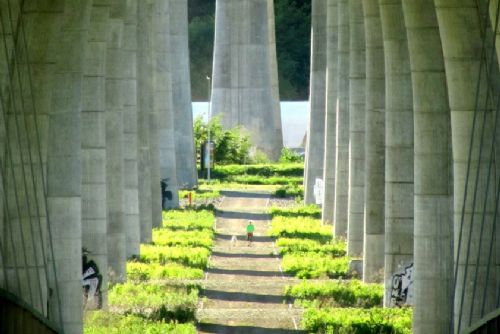 Foto: Podobu Suchdolského mostu na chystané severní části Pražského okruhu určí architektonická soutěž