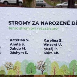 Praha 10 má 46 nových stromů za narozené děti