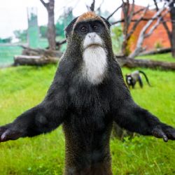 Přelomový rok 2022 v Zoo Praha
