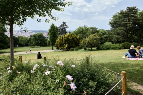 Foto: Riegrovy sady postoupily do finále soutěže PARK ROKU 2023