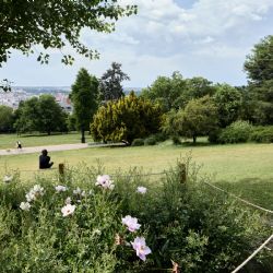 Riegrovy sady postoupily do finále soutěže PARK ROKU 2023