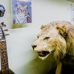 V Českém muzeu hudby už na vás čeká Hudební zvěřinec