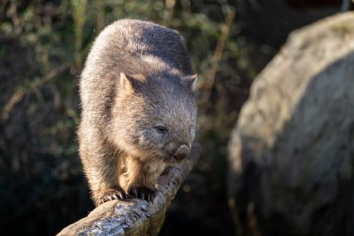 Foto: Víkendová odpoledne v Darwinově kráteru