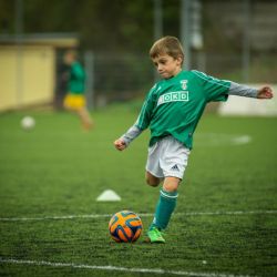 Vláda schválila Národní sportovní agentuře 2,3 miliardy na restart sportu