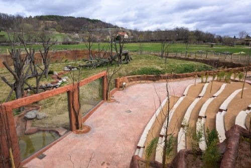 Foto: Zoo Praha převzala nový pavilon goril