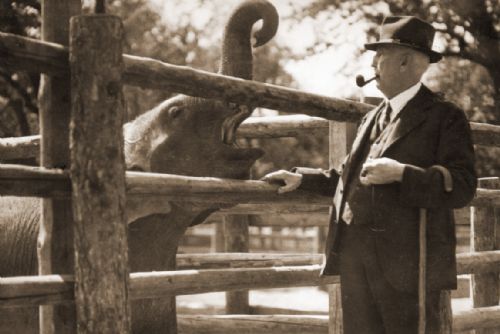 Foto: Zoo Praha slaví 90. výročí svého otevření. V dobových kostýmech, s hudbou a speciálním programem