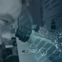 cDC1 buňky klíčem k úspěšní transplantaci orgánů