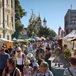 Dudáci, kroje a osm tisíc koláčů. Domažlice prožívají nejrušnější víkend léta