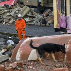 Hasiči z Prahy trénovali se služebními psy v Roháčích