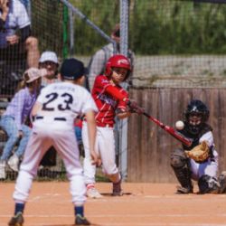 Hluboká nad Vltavou hostí Baseballový SuperCup. Dorazí 24 týmů z Česka i zahraničí