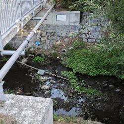 Odbahnění Zubřiny začne po Chodských slavnostech. Práce potrvají do prosince