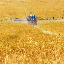 Pesticidy v Evropě - rostoucí spotřeba ohrožuje zdraví i přírodu