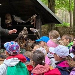 Plzeň láká na pohodu v přírodě - myslivost a sokolnictví v Arboretu Sofronka