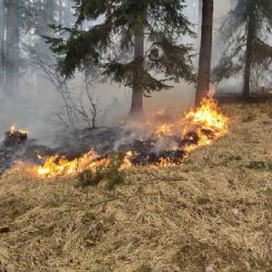 Požáry v Jihočeském kraji: 1 169 událostí a osm obětí v roce 2025